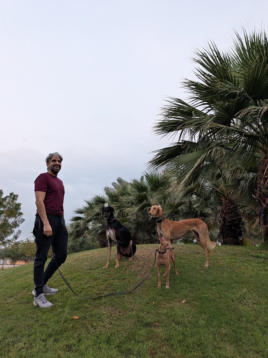 سلطان سعود القاسمي tweet media