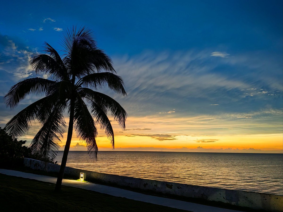 michael a tweet media