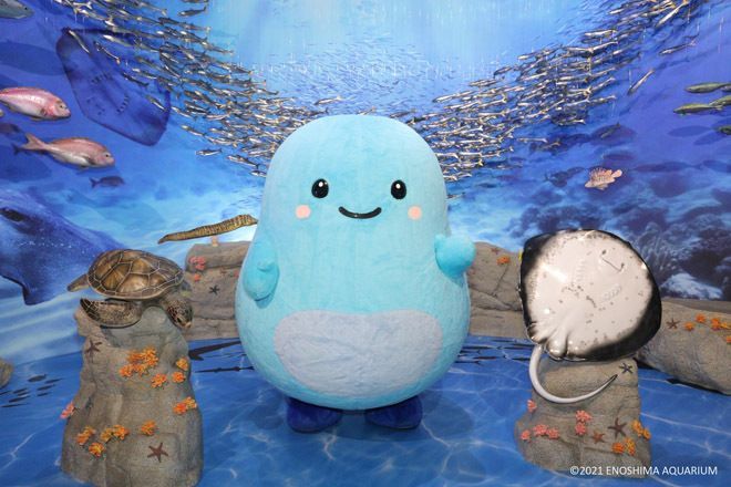 新江ノ島水族館 tweet media