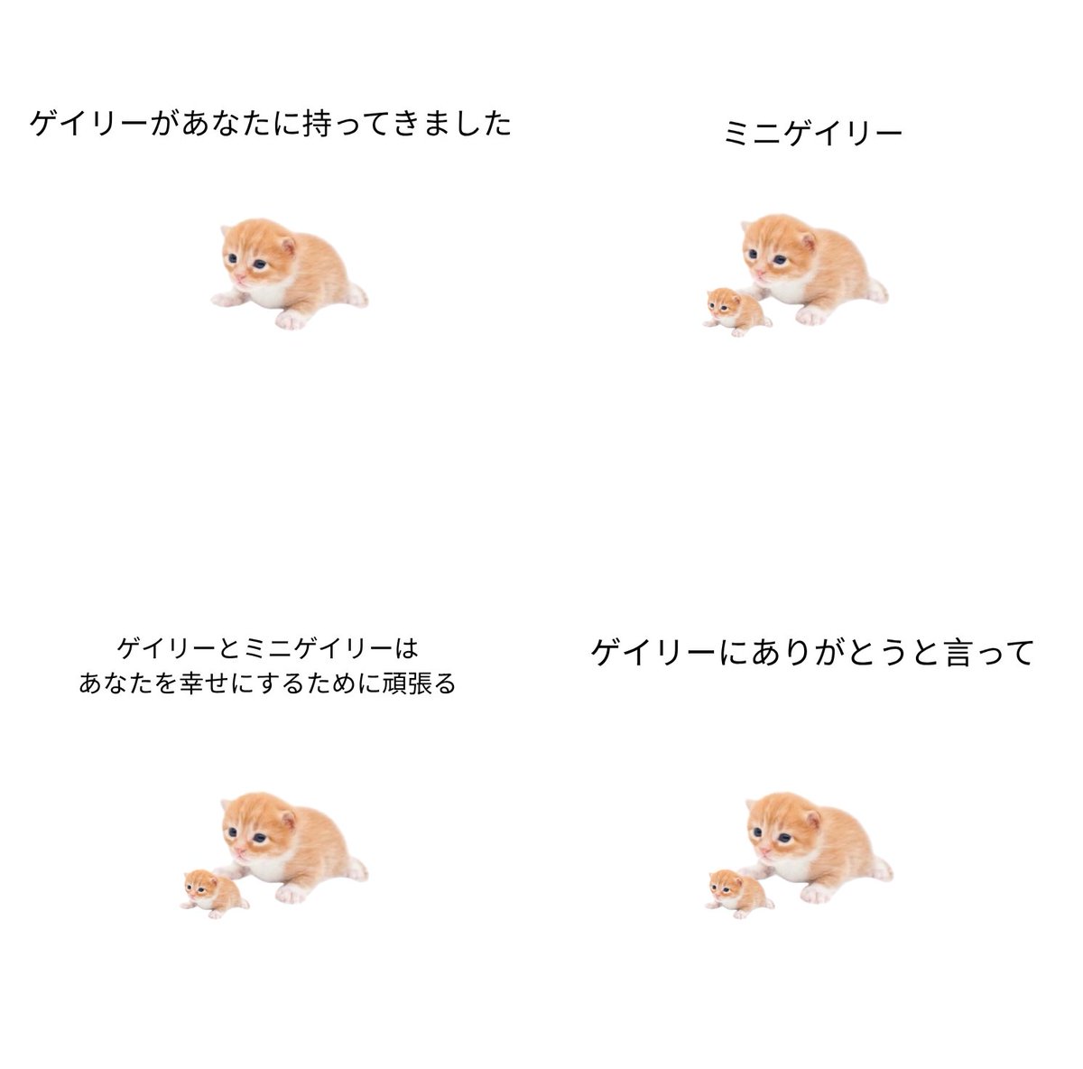 ゲイリー tweet media