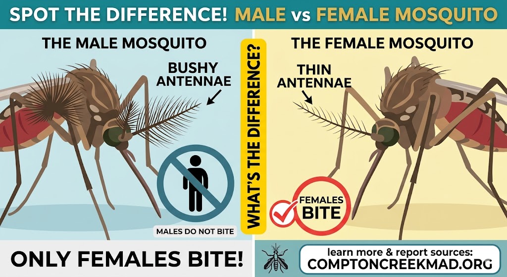 Compton Creek MAD tweet media