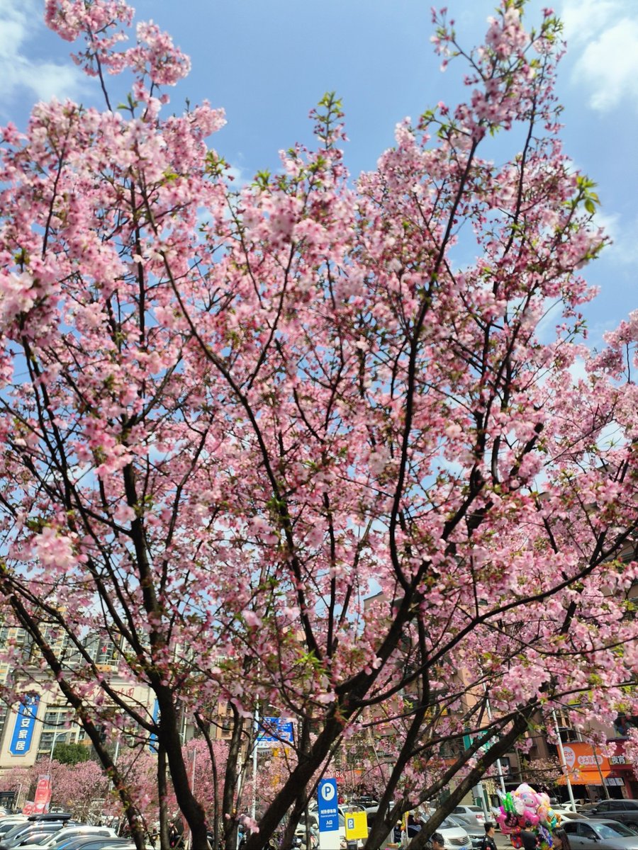 Katherine Fenton tweet media