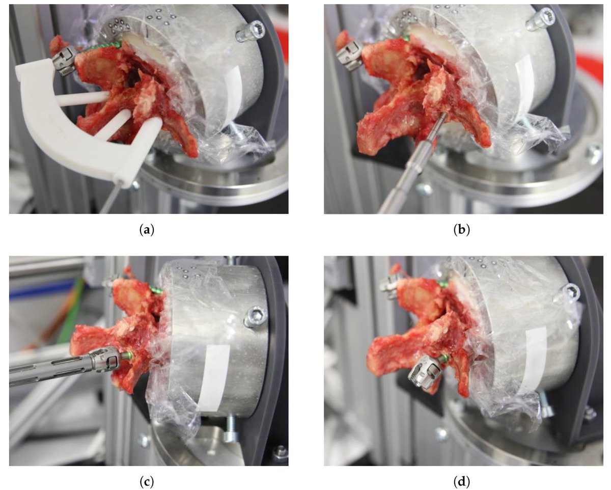 Bioengineering MDPI tweet media