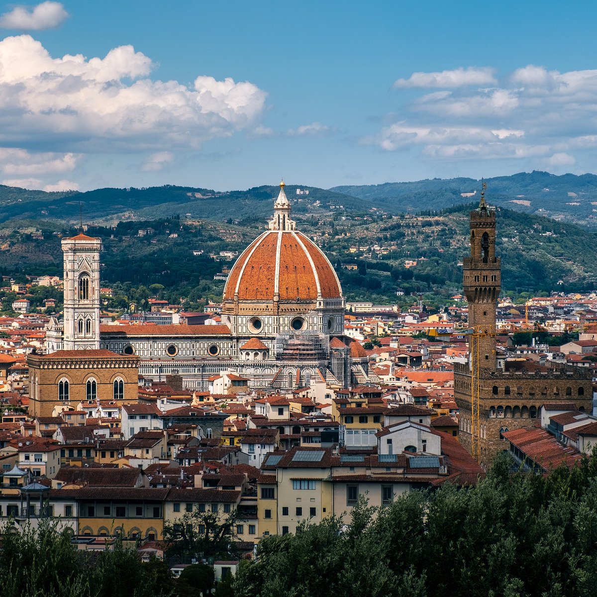 Trip.com tweet media