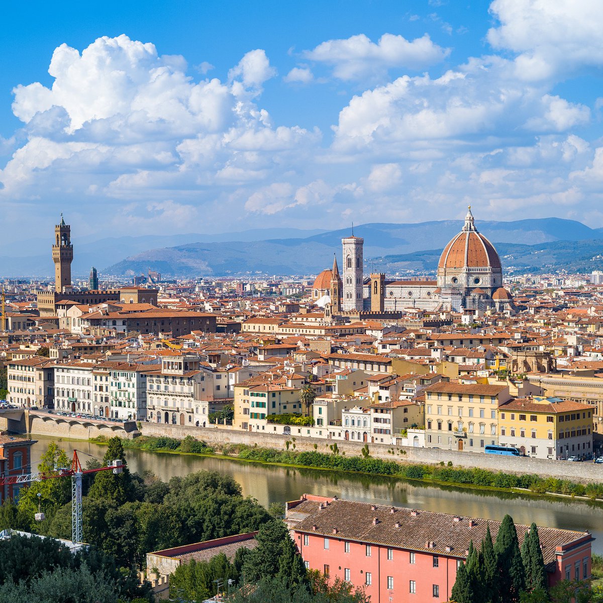 Trip.com tweet media