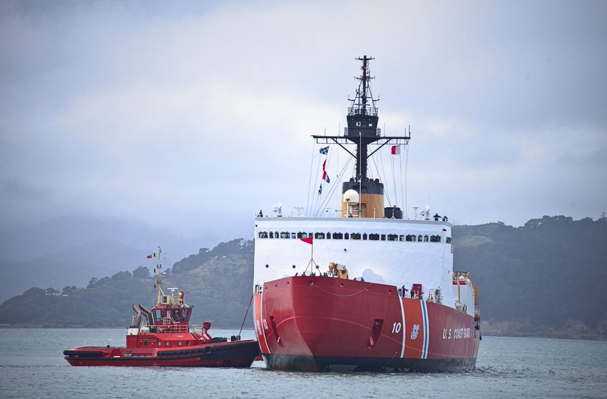 The Consultant tweet media