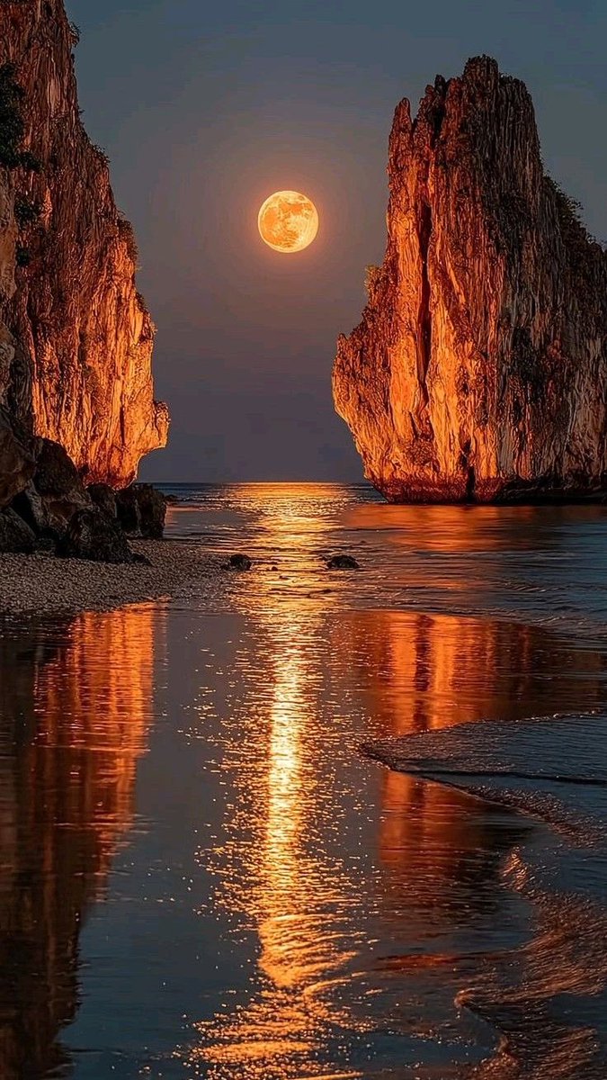 Magical views tweet media