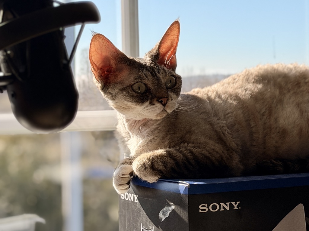 ITavisen's tweet image. #elmo