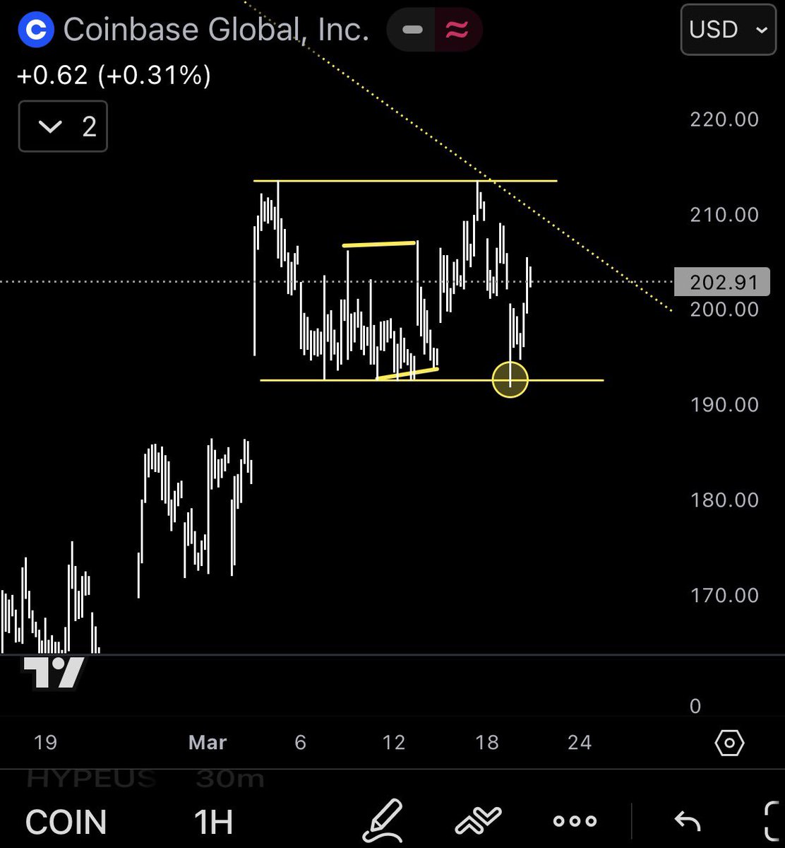 AlphaScout360 tweet media