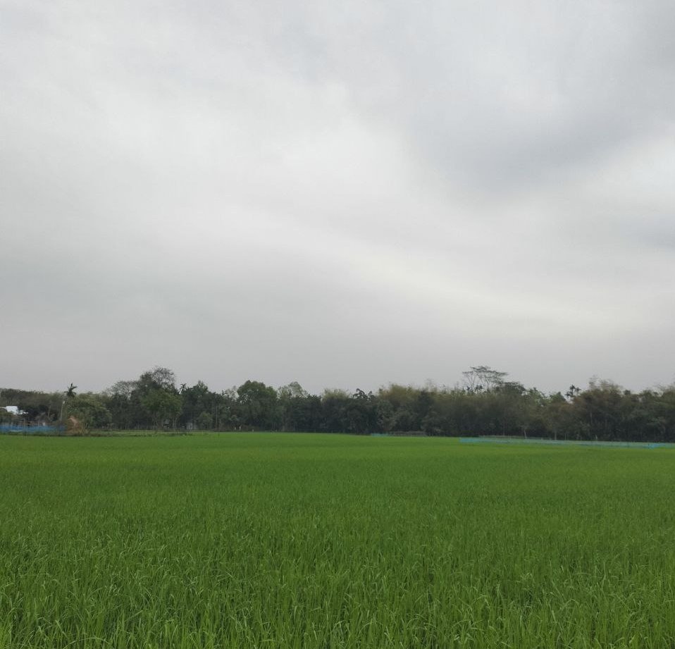 J.𝙳𝚛𝚊𝚟𝚎𝚗 tweet media