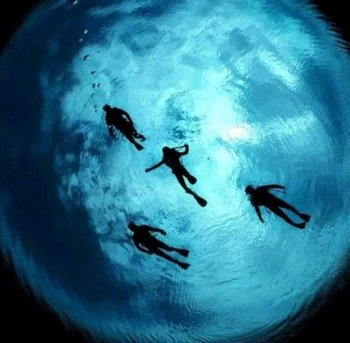 Reset_SW tweet media