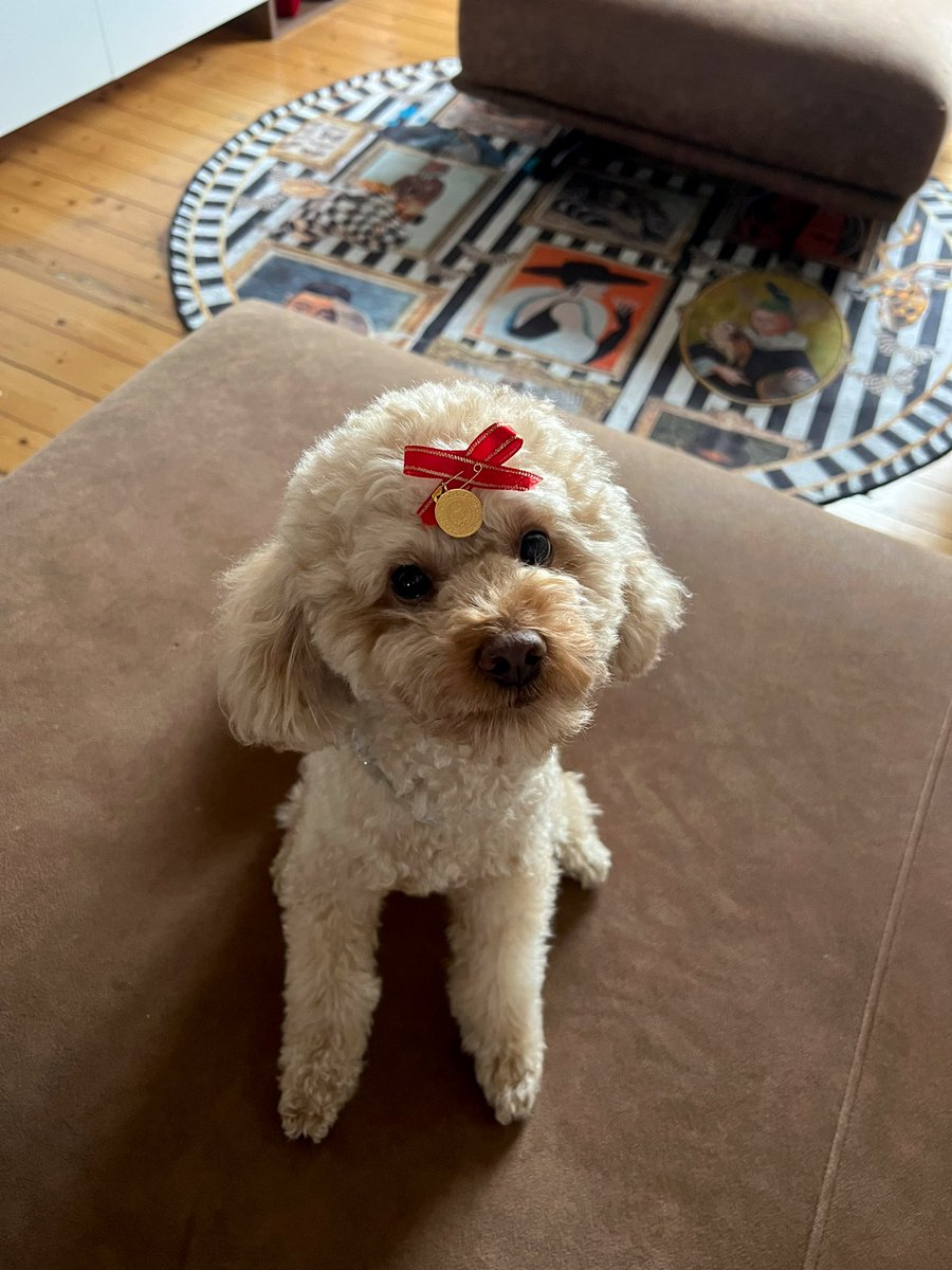 Burjdakim tweet media