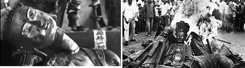 一言物申したいカバさん tweet media