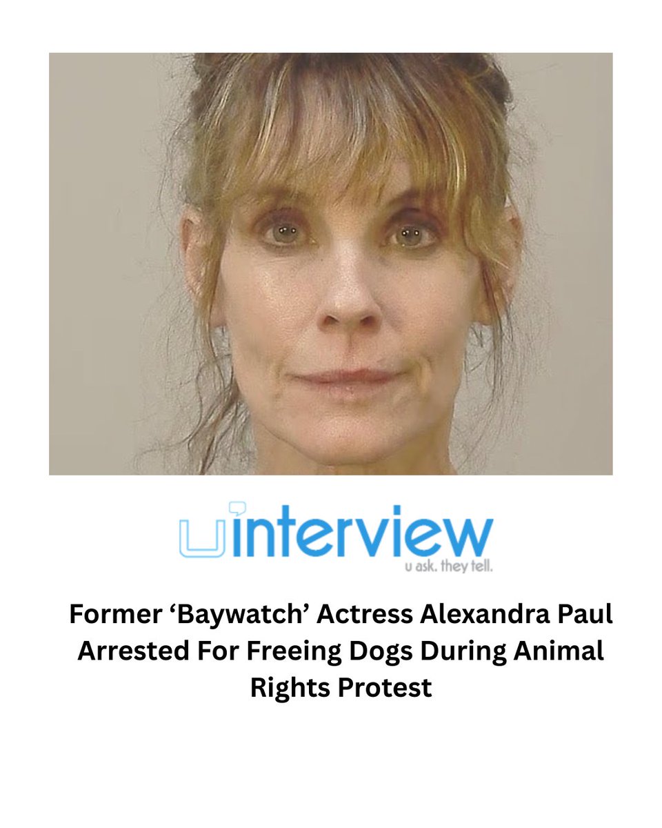 uInterview tweet media