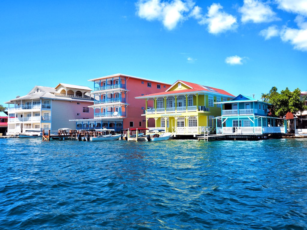 Expat Vanguard tweet media