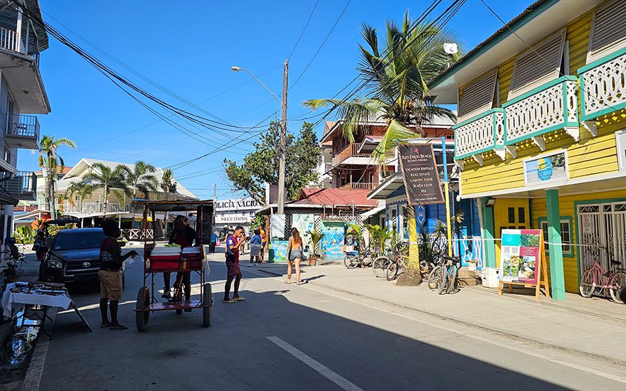 Expat Vanguard tweet media