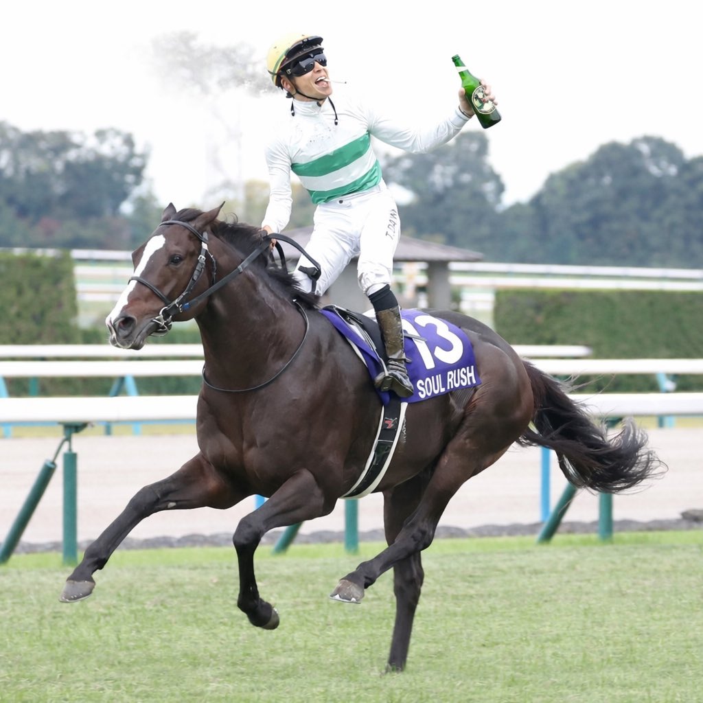 いぞう tweet media