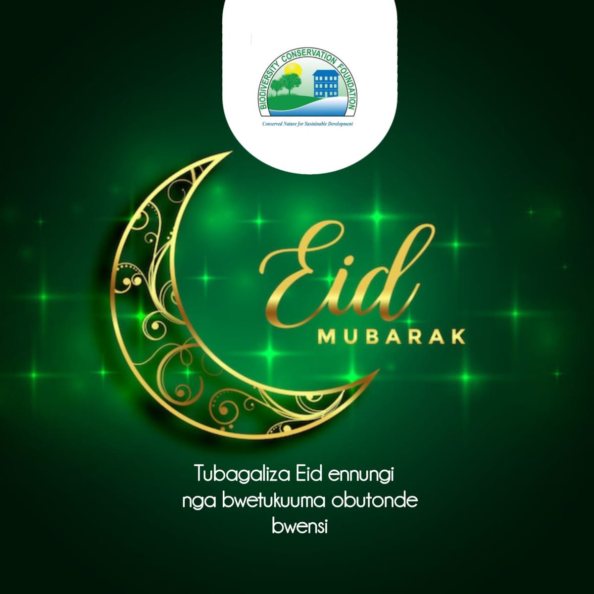BiodiversityCo5's tweet photo. Eid Mubarak 🙏 https://t.co/8kMeXVzyp4