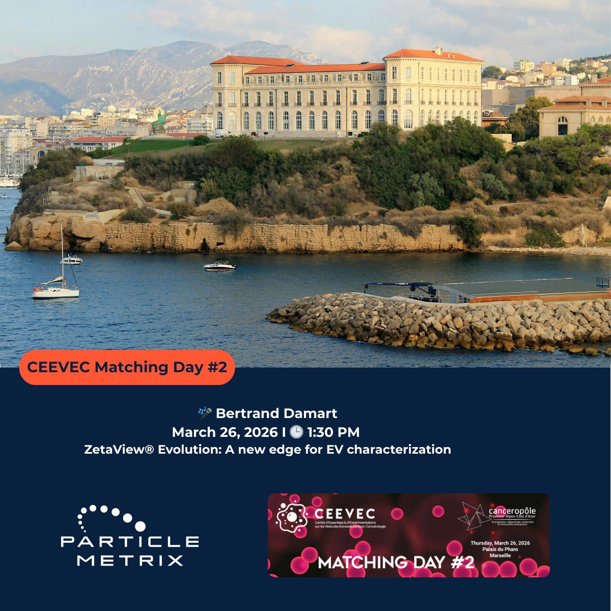 Particle Metrix GmbH tweet media