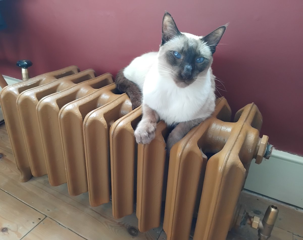 Tim Bryars tweet media