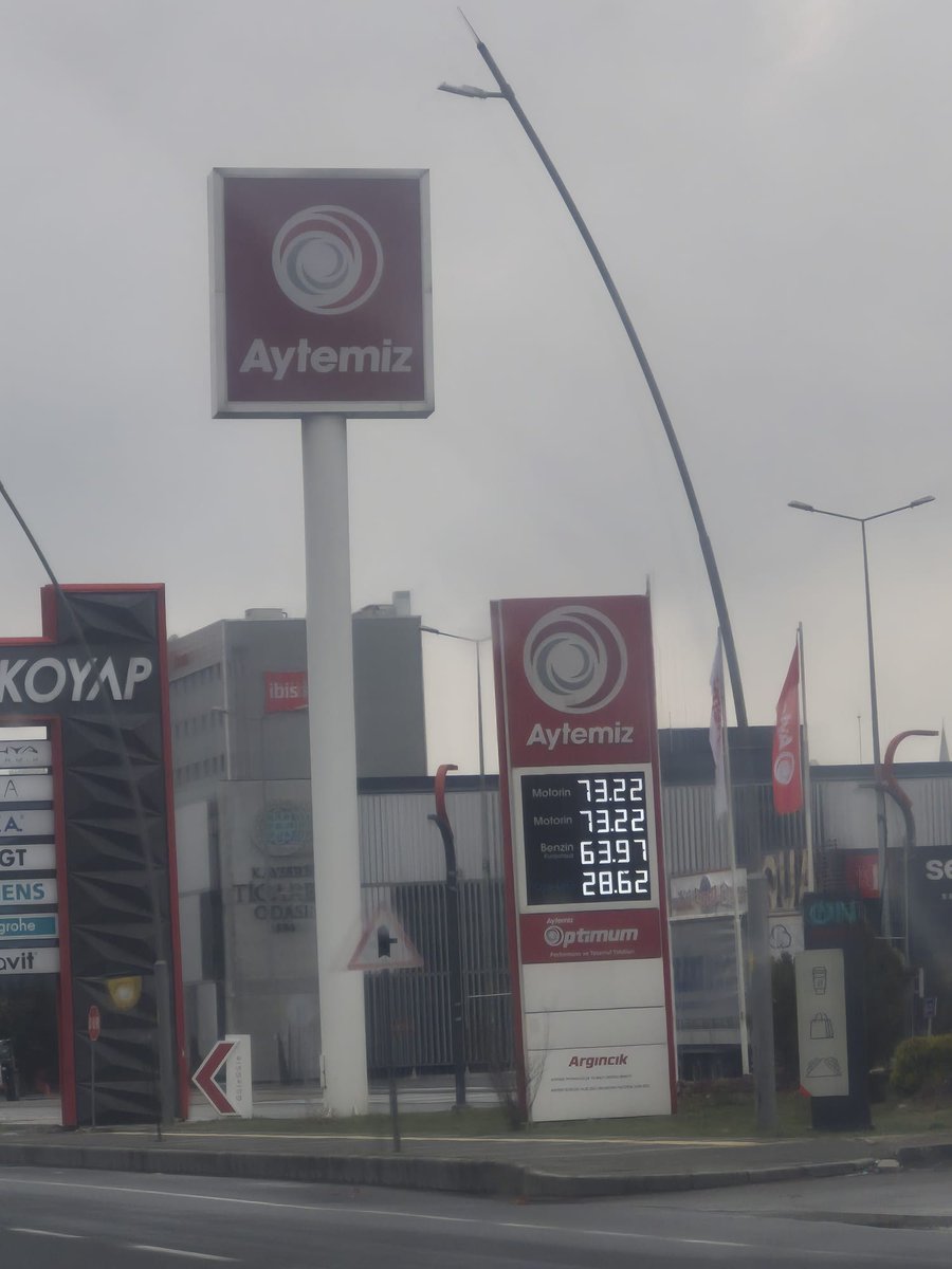 Selin Gülseven 🐦 tweet media