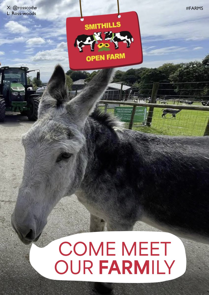 ross woods tweet media