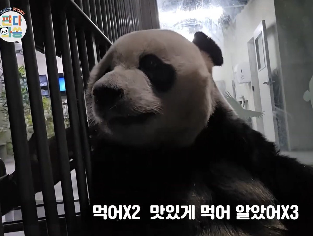 조아 ᰔ tweet media