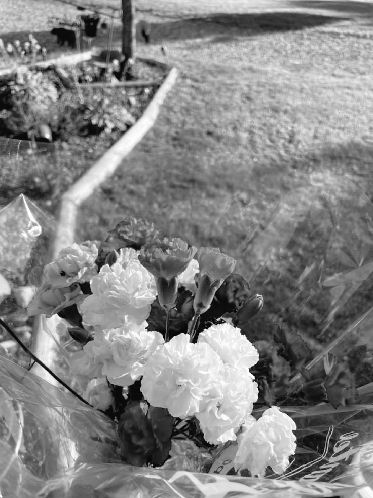 AKRAM ALATAS. tweet media