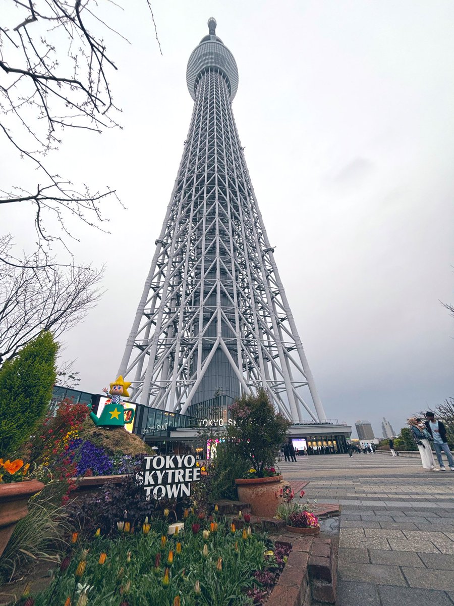 LMochik's tweet photo. 久々東京🗼
ｷﾀ━━━━━ヽ(ﾟ∀ﾟ)ﾉ━━━☆!!

あいにくの雨☔ https://t.co/5I3Z4tRf7D