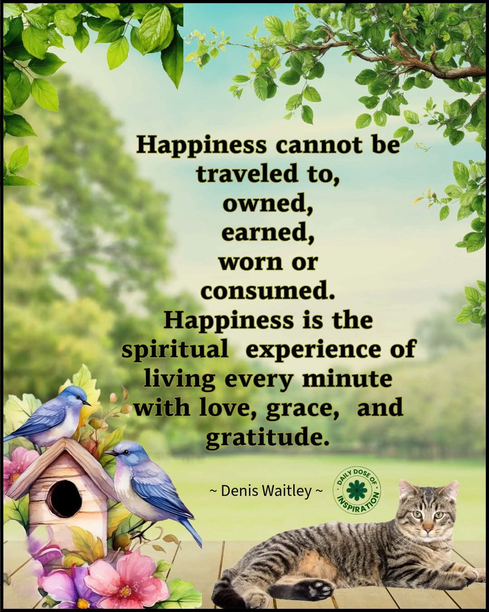 Jiji Tamayo tweet media