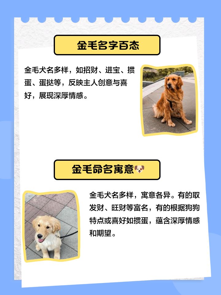 Anderson tweet media