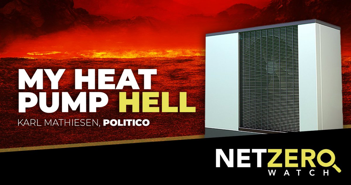 Net Zero Watch tweet media