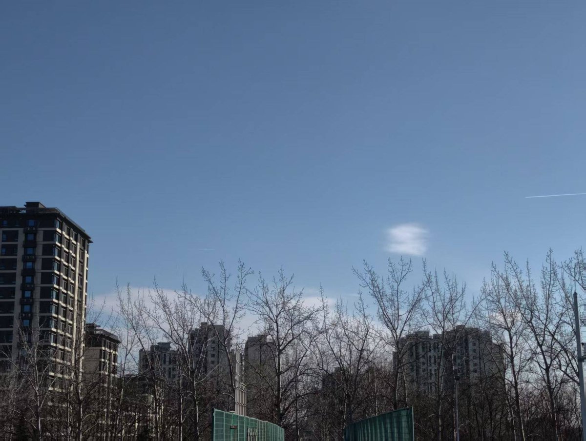 Mahmoud Hassan tweet media