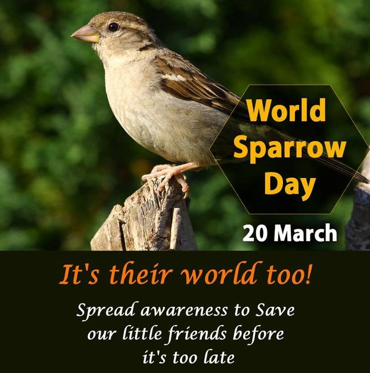 Adesh Thakur tweet media