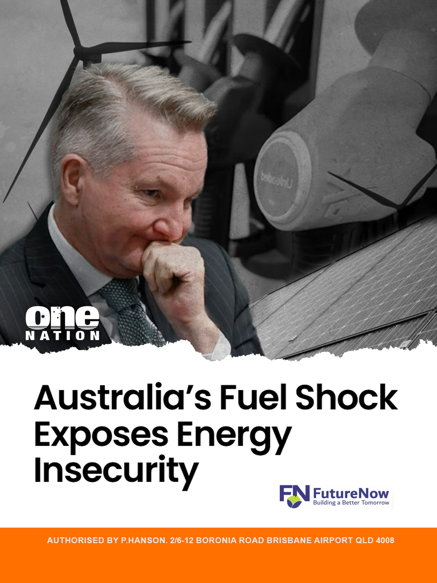 One Nation Australia tweet media