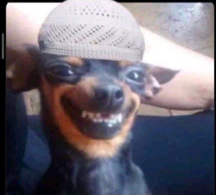 WEB3_HORIZON 🌏 tweet media