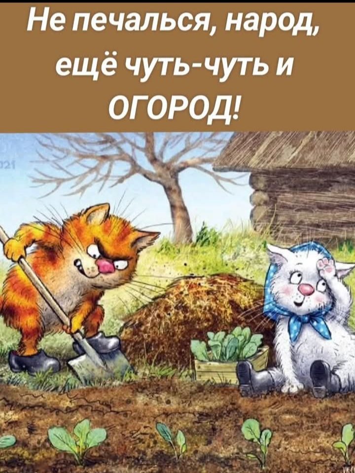 ALBINA19986615's tweet photo. Чтоб себя икрою утром ублажать,
Нужно больше летом кабачков сажать !!! https://t.co/3VjifnnFGt