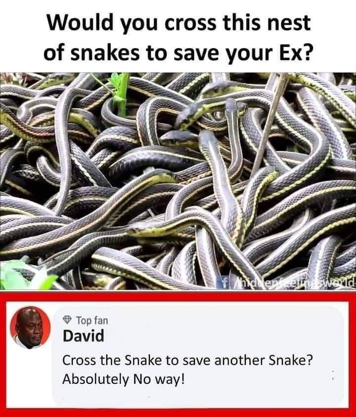 Grokified S tweet media