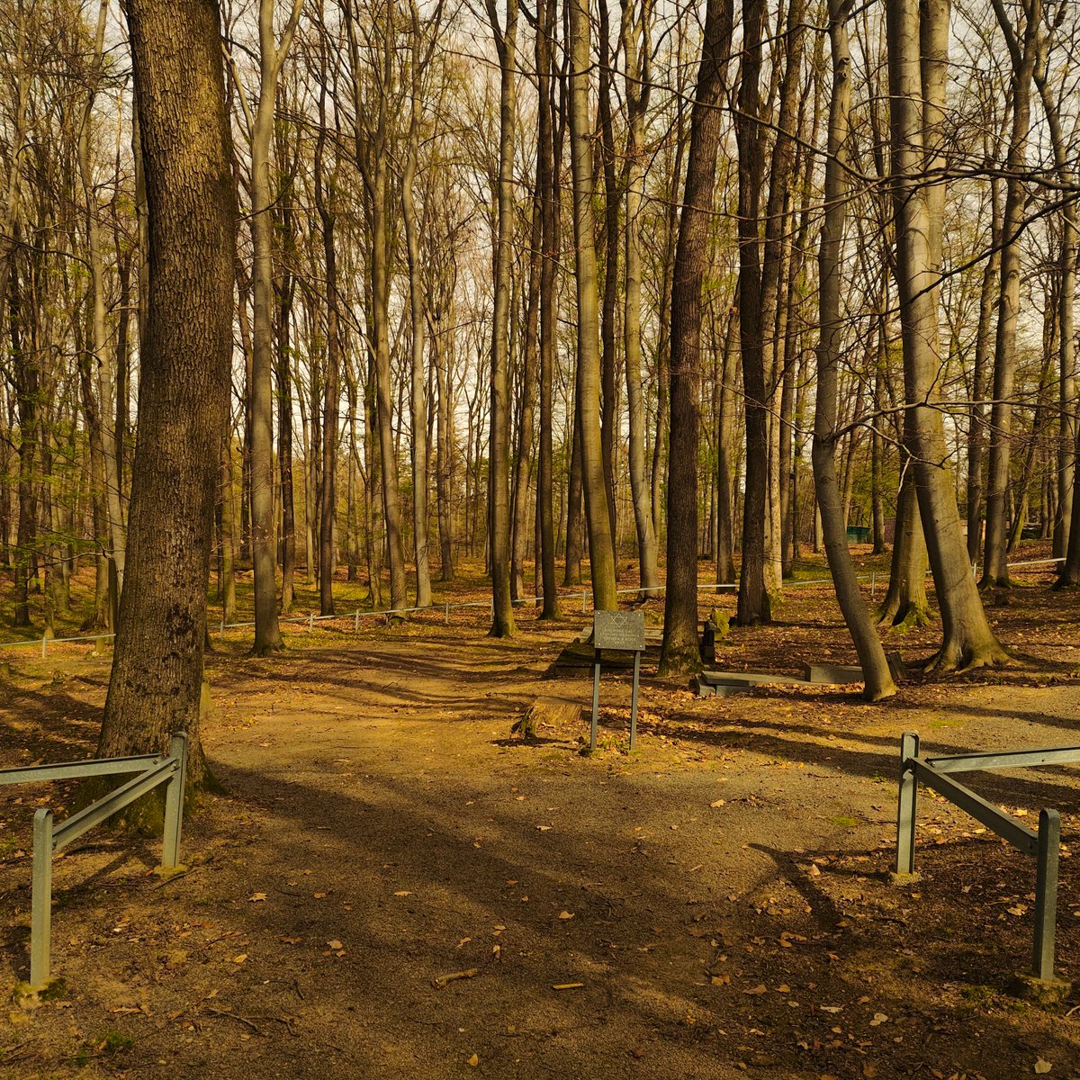 ŽIDOVSKÉ VĚCI tweet media