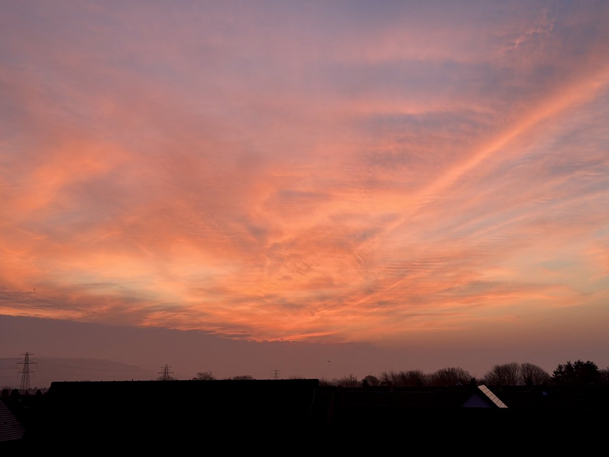 Kelly 👱🏻‍♀️🌊🔆 tweet media