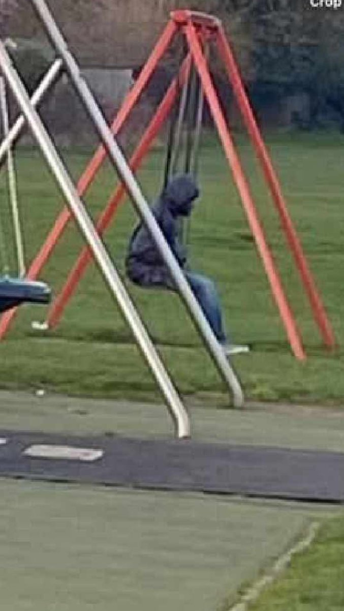 Active Patriot tweet media