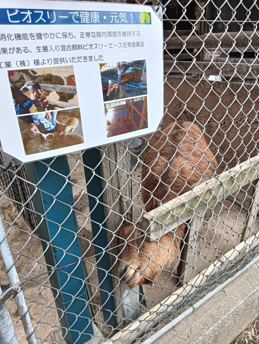 タケ@薬剤師&FP tweet media