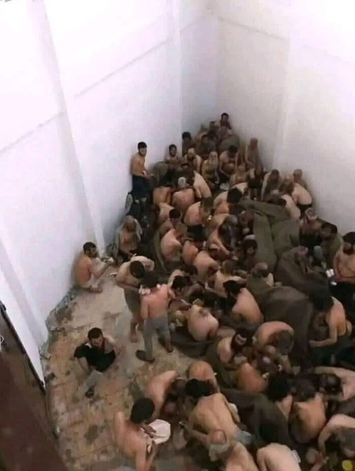 Kadir Mutlu tweet media