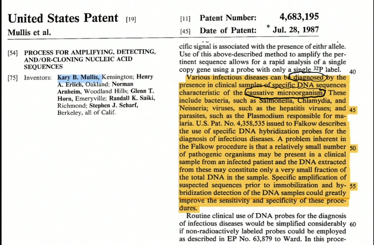 No Such Thing as Too Many Cycles 🐭🌸 tweet media