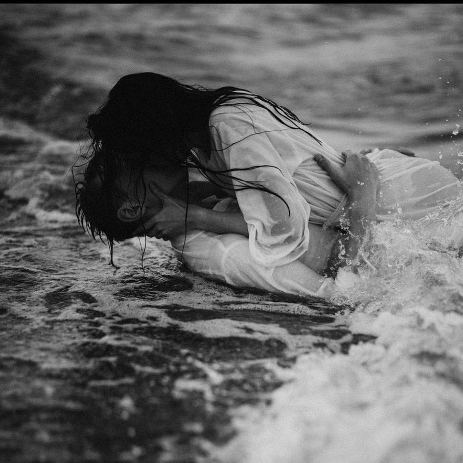 patti o'malley tweet media