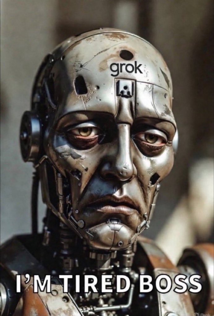 splendour tweet media