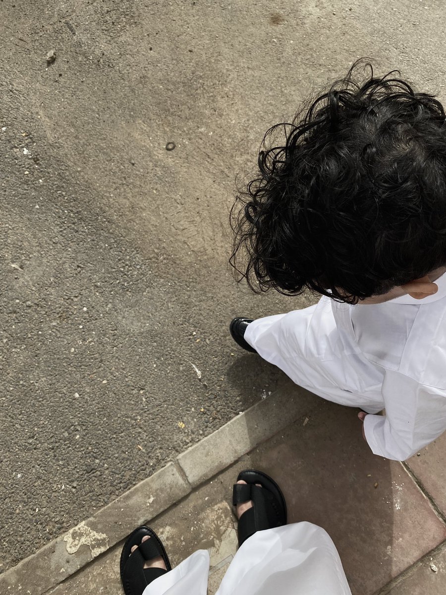 Maybe’s guy tweet media