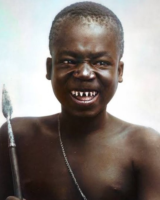 Daniel Mayakovski tweet media