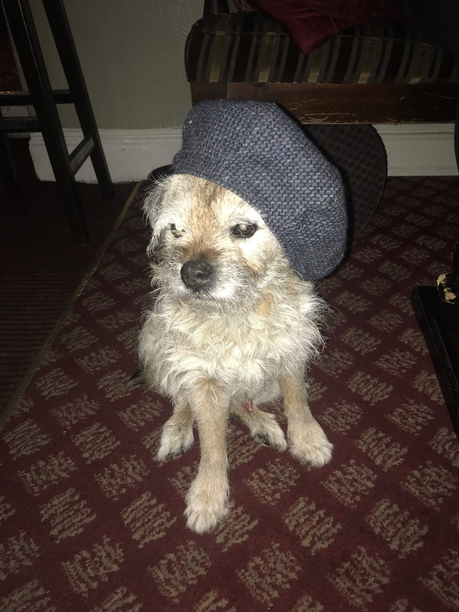 Otts and Bobs tweet media