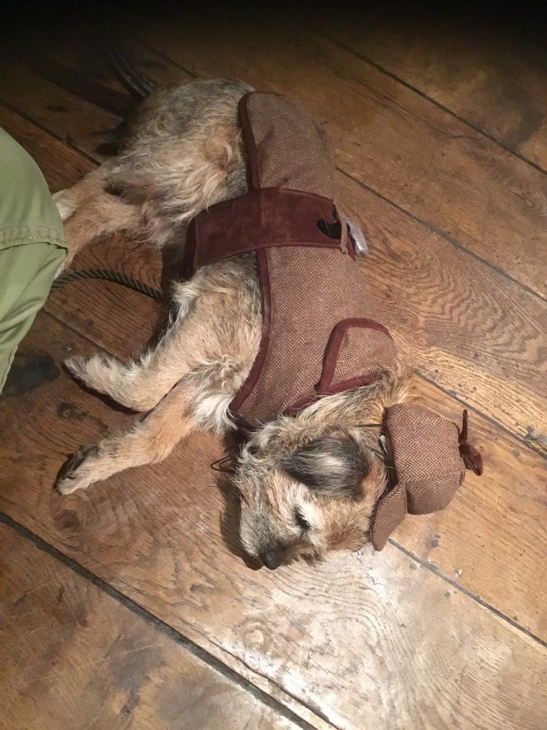 Otts and Bobs tweet media